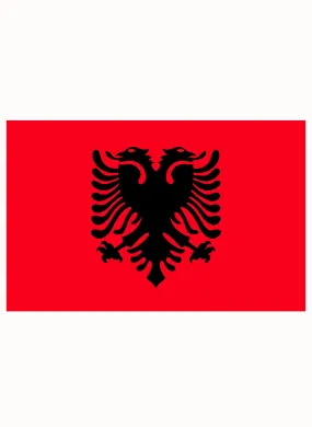 Albania Flag Kids T-Shirt