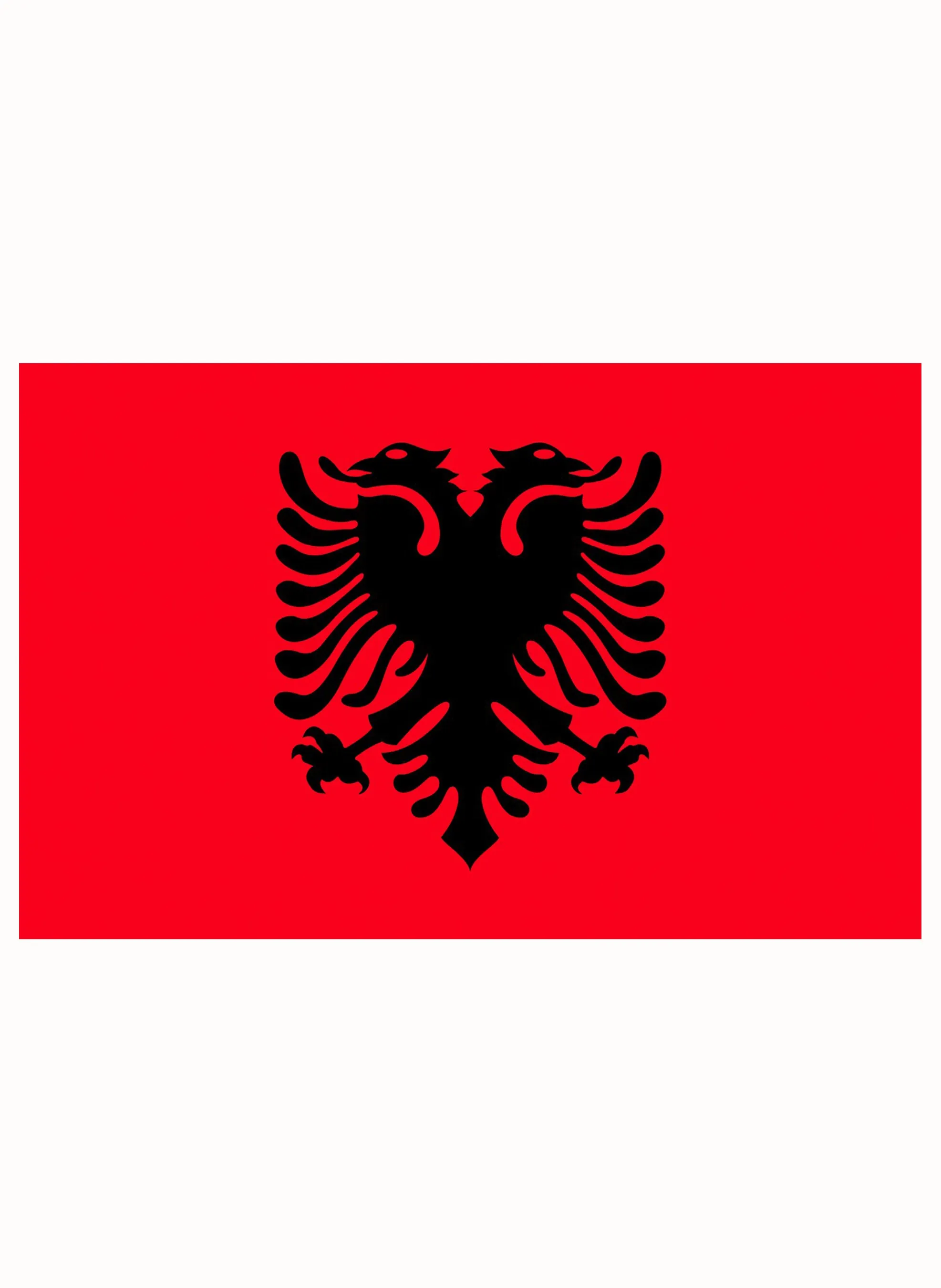 Albania Flag Kids T-Shirt