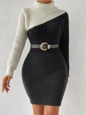 Contrast Turtleneck Sweater Dress