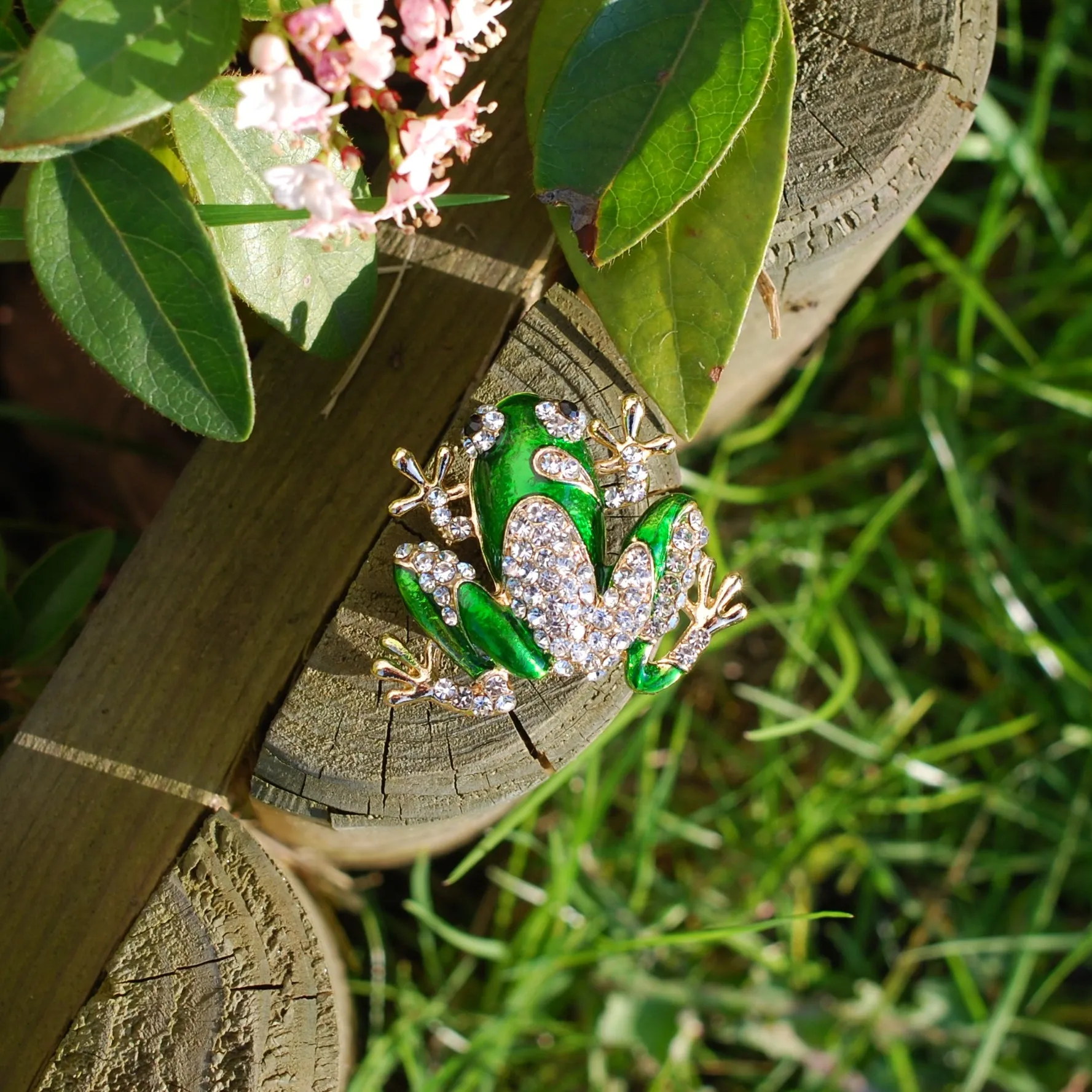 Frog Brooch Enamel Pin with Rhinestone