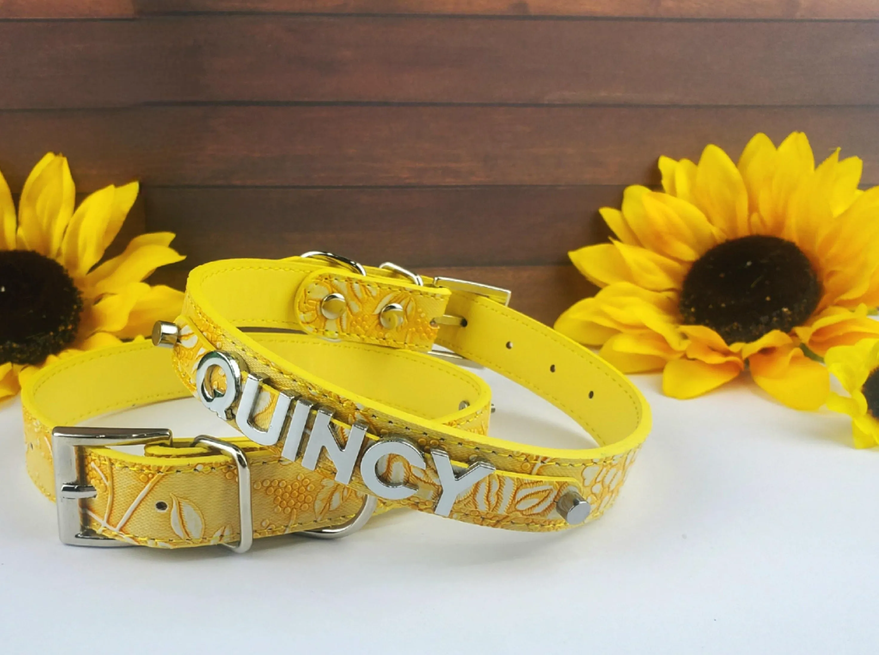 Garden Goldenrod Pet Collar