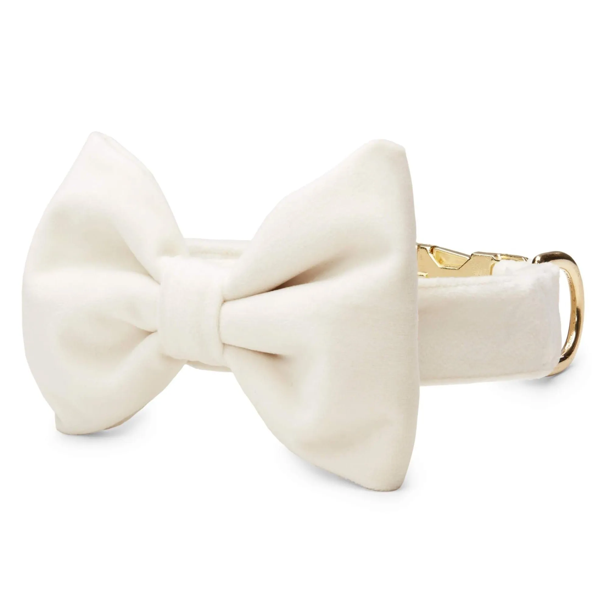 Ivory Velvet Bow Tie Collar