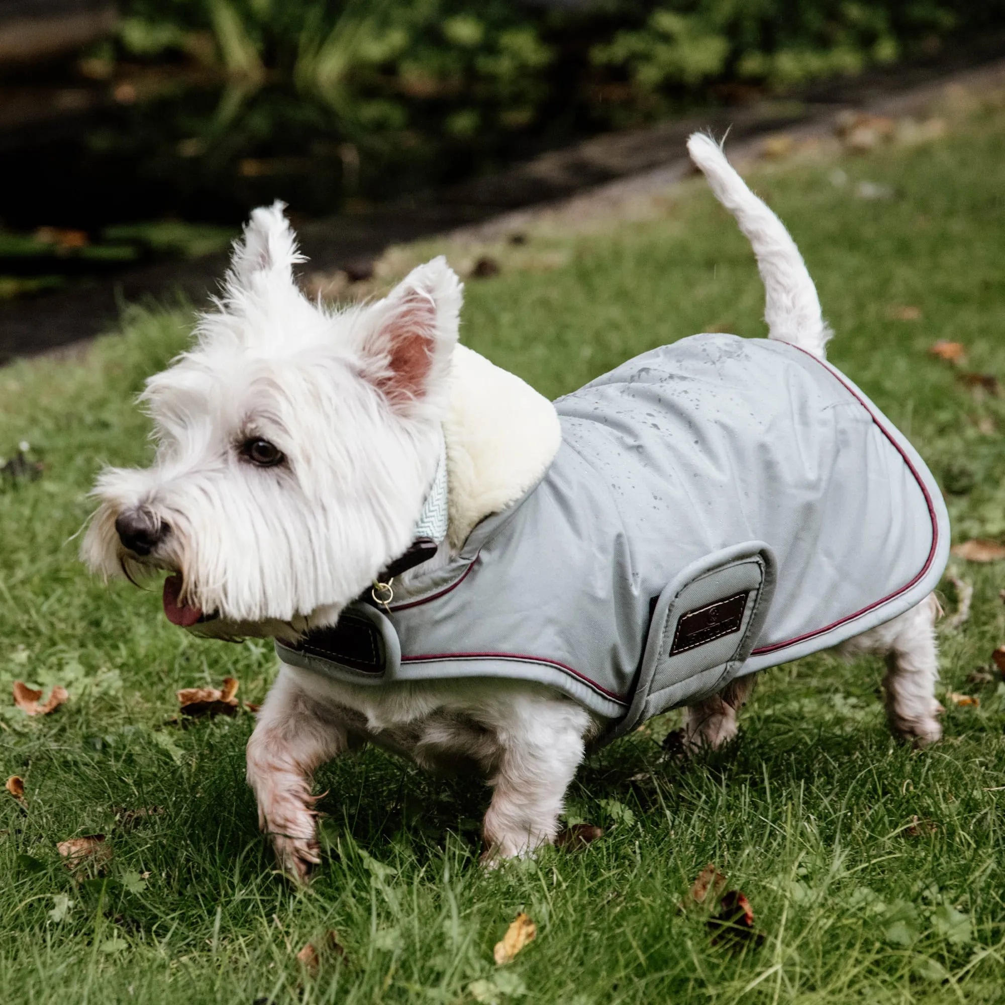 Kentucky Dogwear Waterproof Dog Coat - Dusty Blue