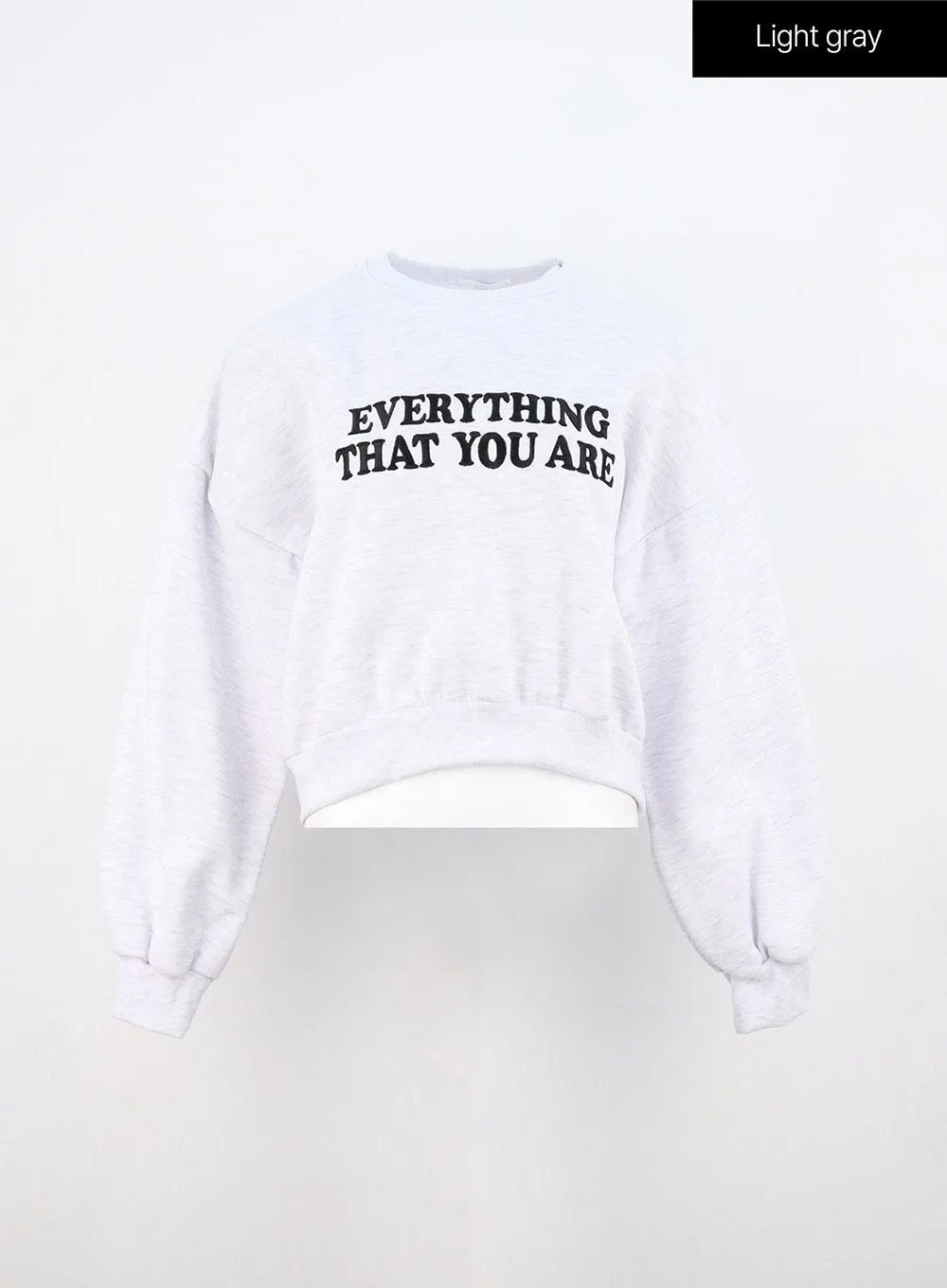 Lettering Crop Sweatshirt ON310