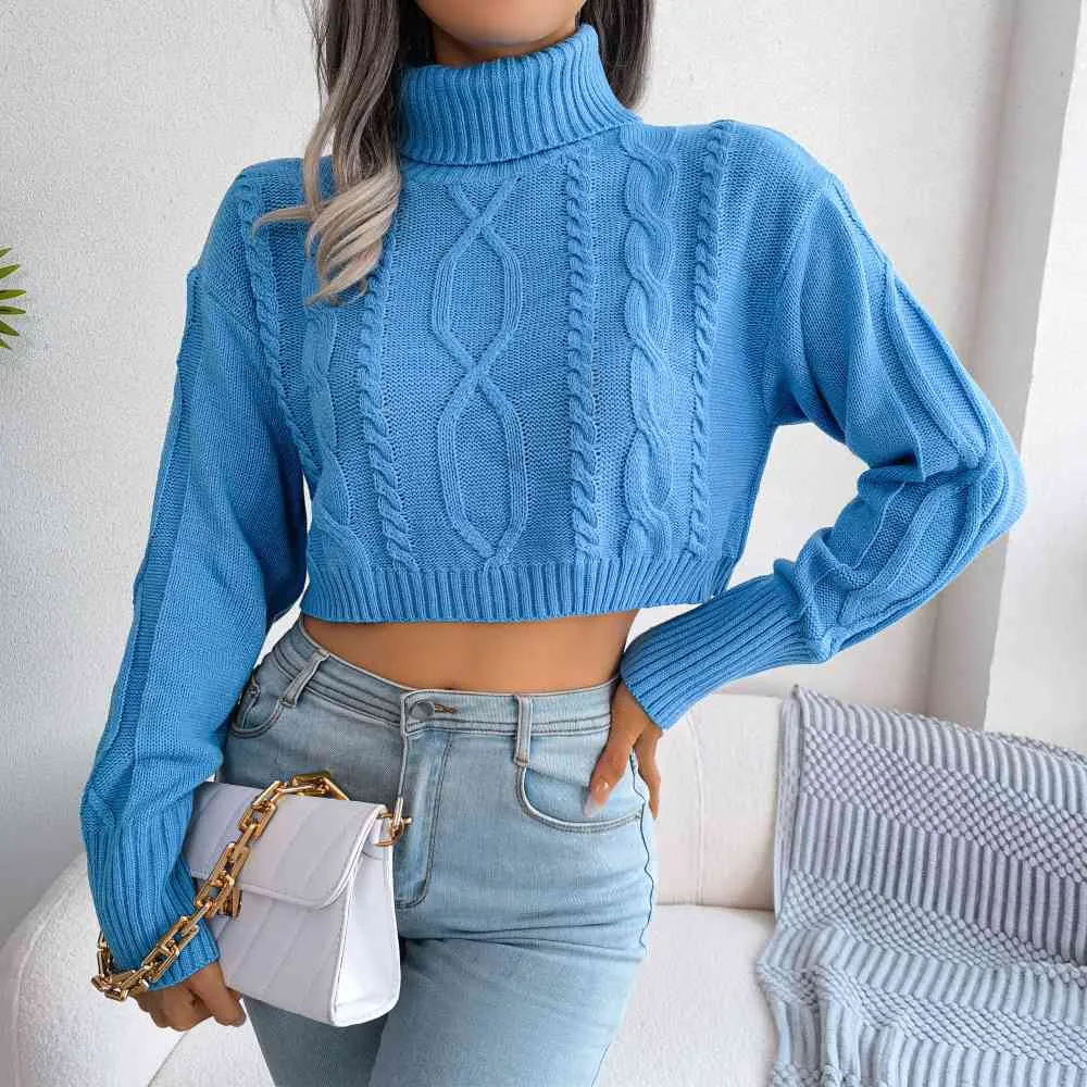 Mixed Knit Turtleneck Cropped Sweater