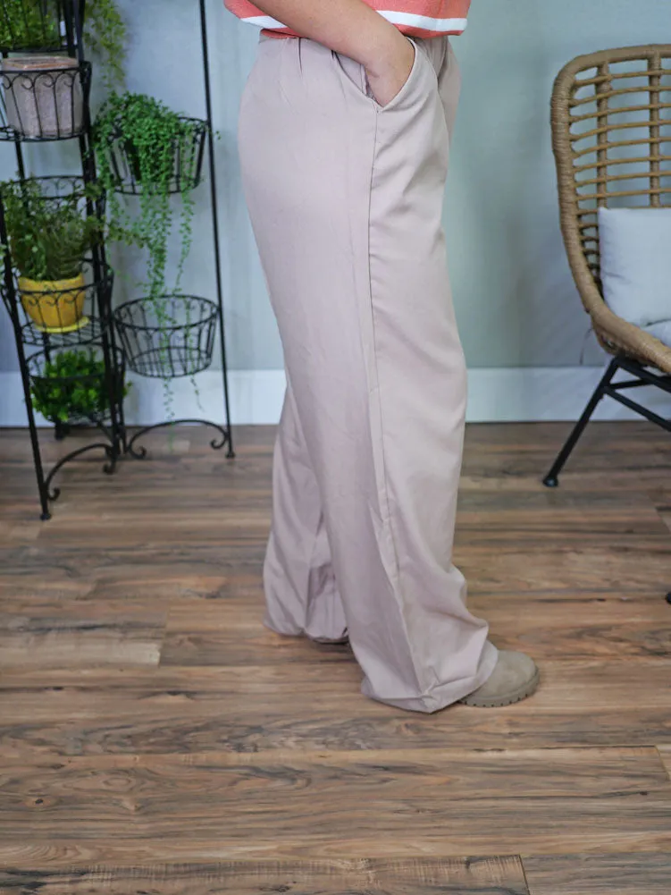 Pleated Wide Leg Pants in Taupe by Eesome