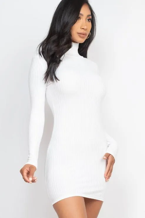 Ribbed Mock Neck Bodycon Mini Dress