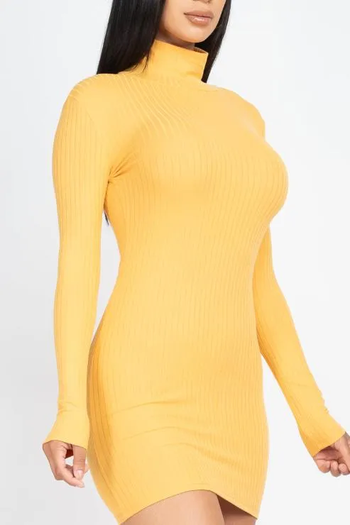 Ribbed Mock Neck Bodycon Mini Dress