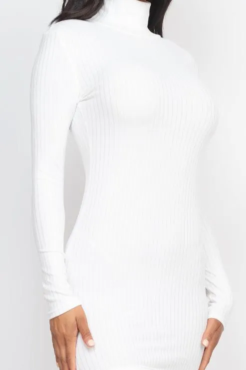 Ribbed Mock Neck Bodycon Mini Dress