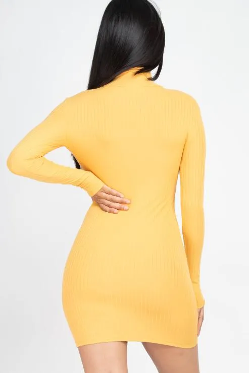 Ribbed Mock Neck Bodycon Mini Dress