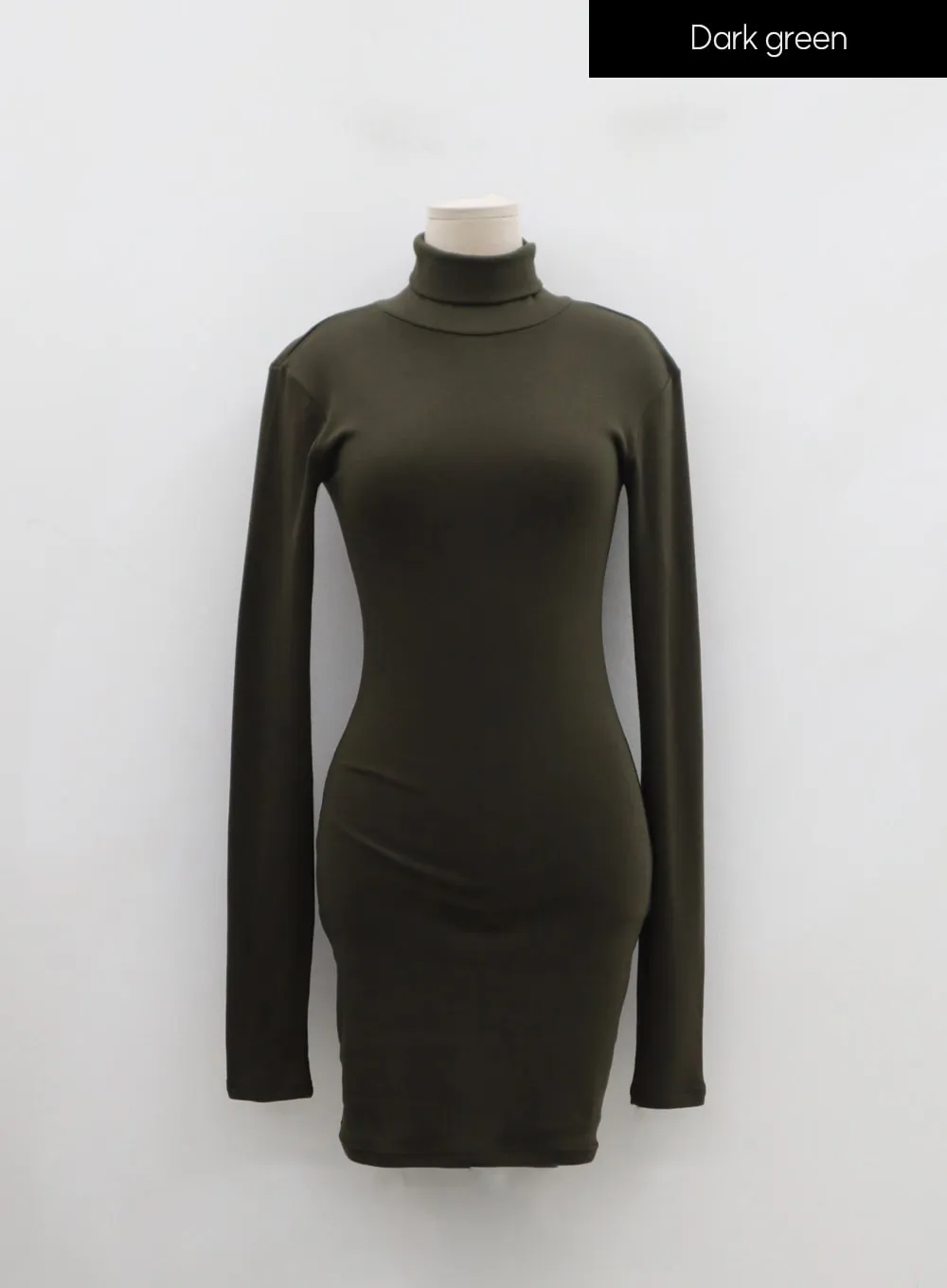 Turtleneck Mini Dress IN24