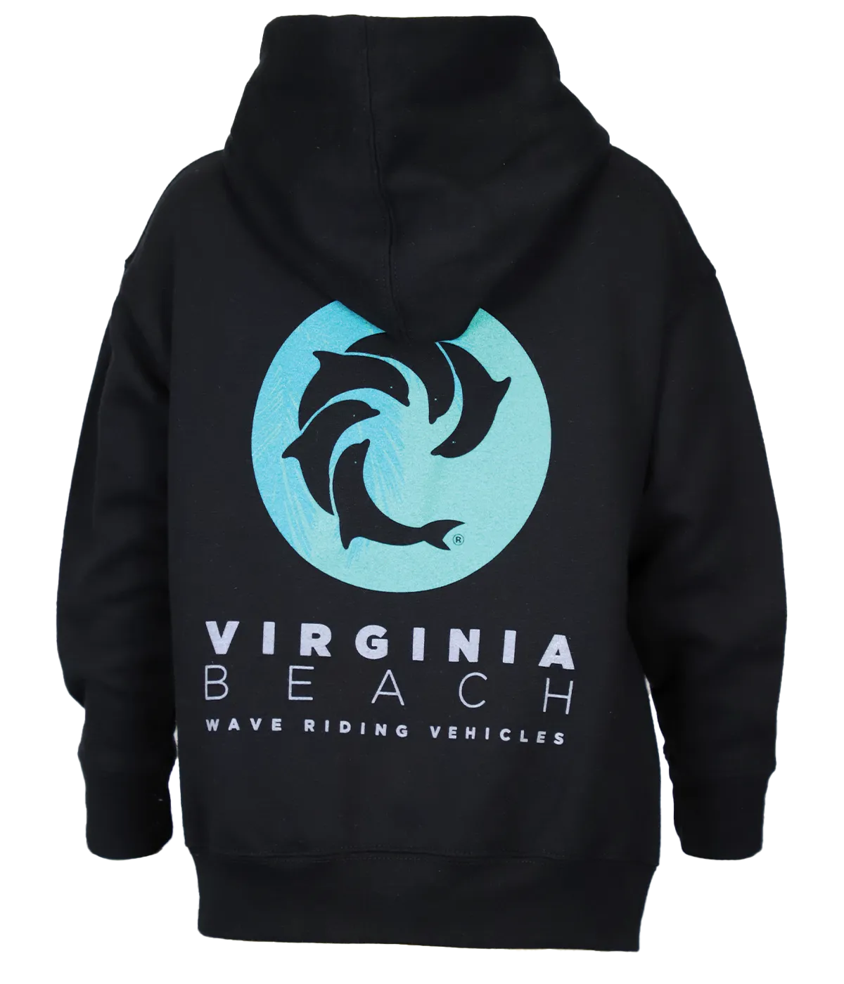 Youth Palm VB P/O Hooded Sweatshirt